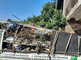 Best Estate Cleanout  in Liberty, SC